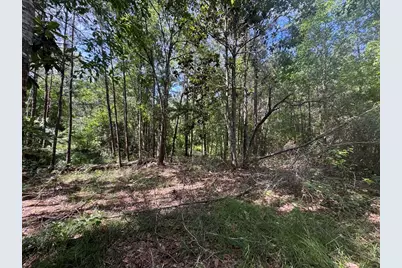 164 County Road 2127, Burkeville, TX 75932 - Photo 13