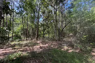164 County Rd 2127, Burkeville, TX 75932 - Photo 13