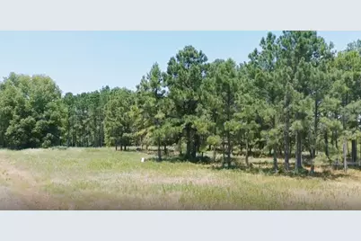 Tbd Hunt Ct, Lovelady, TX 75851 - Photo 5