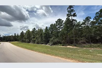 7621 Trinity Pines Dr, Montgomery, TX 77316 - Photo 5