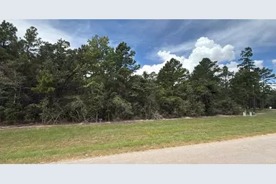 7621 Trinity Pines Dr, Montgomery, TX 77316 - Photo 3