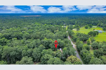 3615 Brazewell Road, Cleveland, TX 77328 - Photo 7