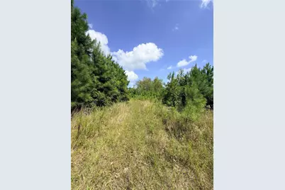 385 County Road 3773, Cleveland, TX 77327 - Photo 5