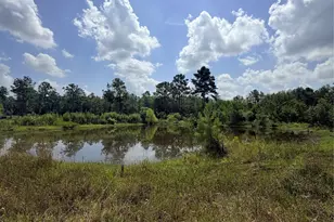 385 County Rd 3773, Cleveland, TX 77327 - Photo 1