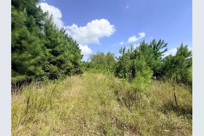 385 County Road 3773, Cleveland, TX 77327 - Photo 3