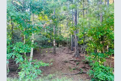 Tbd Willow Creek, Huntsville, TX 77340 - Photo 1