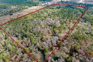 11260 Crockett Martin Rd, Conroe, TX 77306 - Photo 9