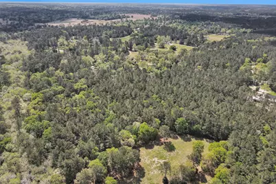 14869 County Line Road, Willis, TX 77378 - Photo 3