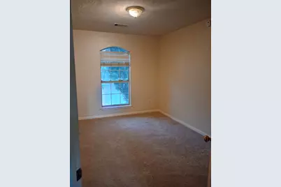 4602 Rainbow Valley Court, Missouri City, TX 77459 - Photo 23