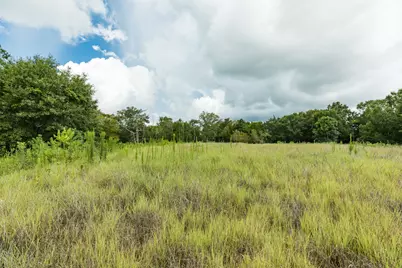 2416 Airline Drive, Friendswood, TX 77546 - Photo 11