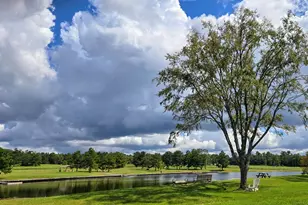 11707 Wishing Star Ct, Willis, TX 77378 - Photo 7