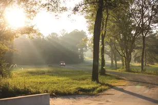 11707 Wishing Star Ct, Willis, TX 77378 - Photo 9