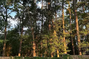 901 Longmire Rd, Conroe, TX 77304 - Photo 29