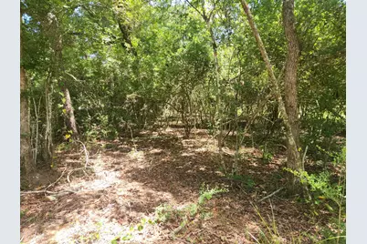 281 W Sierra Road, Coldspring, TX 77331 - Photo 35
