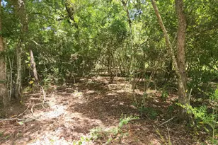 281 W Sierra Rd, Coldspring, TX 77331 - Photo 35