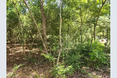 281 W Sierra Road, Coldspring, TX 77331 - Photo 41