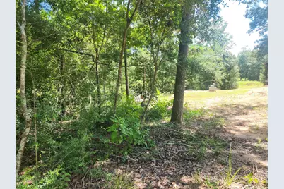 281 W Sierra Road, Coldspring, TX 77331 - Photo 39