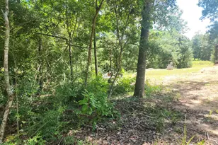 281 W Sierra Rd, Coldspring, TX 77331 - Photo 39