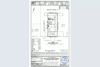 11342 Shadyside Lane, Montgomery, TX 77356 - Photo 19