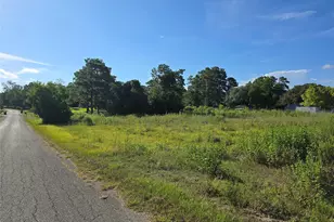 Lot 9 Lewis Creek Circle, Willis, TX 77318 - Photo 7