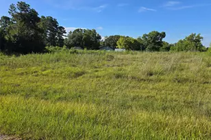 Lot 9 Lewis Creek Circle, Willis, TX 77318 - Photo 1