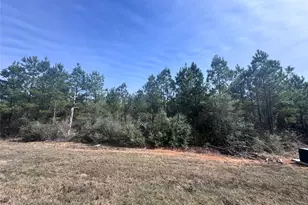 15584 Frst Grv Dr, Willis, TX 77378 - Photo 3