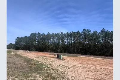 15584 Forest Grove Drive, Willis, TX 77378 - Photo 7