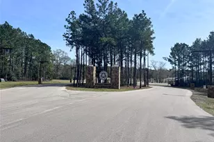 15584 Frst Grv Dr, Willis, TX 77378 - Photo 9