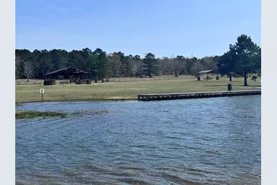 15584 Forest Grove Drive, Willis, TX 77378 - Photo 15