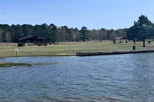 15584 Frst Grv Dr, Willis, TX 77378 - Photo 15