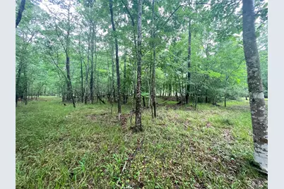 74 S Royale Greens Drive, Coldspring, TX 77331 - Photo 3