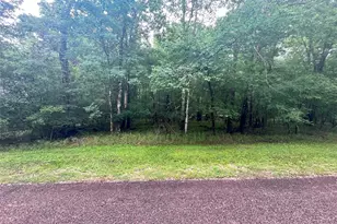 74 S Royale Greens Dr, Coldspring, TX 77331 - Photo 1