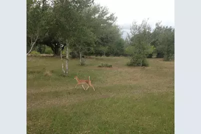 Tbd-A Garrett Road, Yoakum, TX 77995 - Photo 9