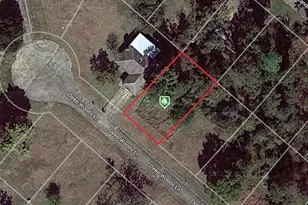 245 Deep Woods Ln, Livingston, TX 77351 - Photo 1