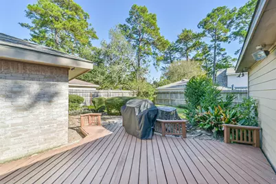 3802 Glenwood Springs Drive, Houston, TX 77345 - Photo 29