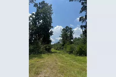 Fm 943 Rd, Livingston, TX 77351 - Photo 3