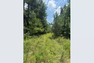 Fm 943 Rd, Livingston, TX 77351 - Photo 5