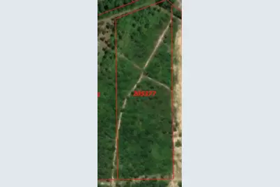 Fm 943 Rd, Livingston, TX 77351 - Photo 7