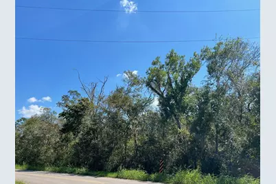 Lot 1 County Road 819, Brazoria, TX 77422 - Photo 5
