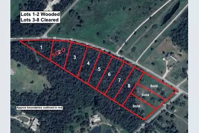 Lot 1 County Road 819, Brazoria, TX 77422 - Photo 1