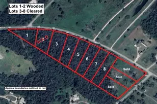 Lot 1 County Road 819, Brazoria, TX 77422 - Photo 1