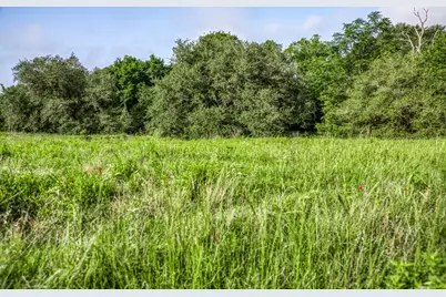 Tract 7 S Nassau Road, Round Top, TX 78954 - Photo 3