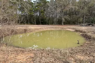 24331 Fm 2090 Rd, Splendora, TX 77372 - Photo 35