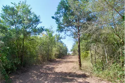 Tbd Cr 426, Waelder, TX 78959 - Photo 21