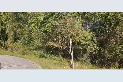 149 Springs Edge Drive, Conroe, TX 77356 - Photo 5