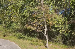 149 Springs Edge Dr, Conroe, TX 77356 - Photo 5