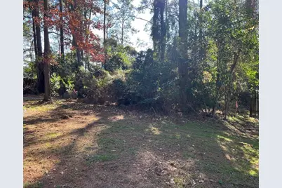 149 Springs Edge Drive, Conroe, TX 77356 - Photo 7