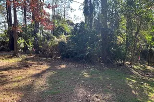 149 Springs Edge Dr, Conroe, TX 77356 - Photo 7