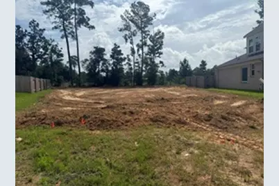 2005 Atlas Cedar Drive, Conroe, TX 77301 - Photo 1