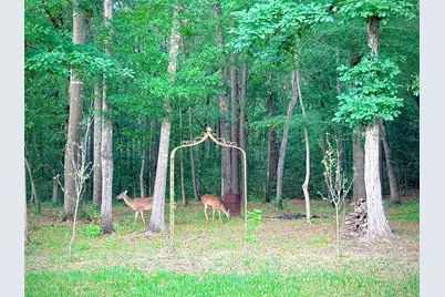 11222 Quiet Lake Drive Drive, Conroe, TX 77304 - Photo 27